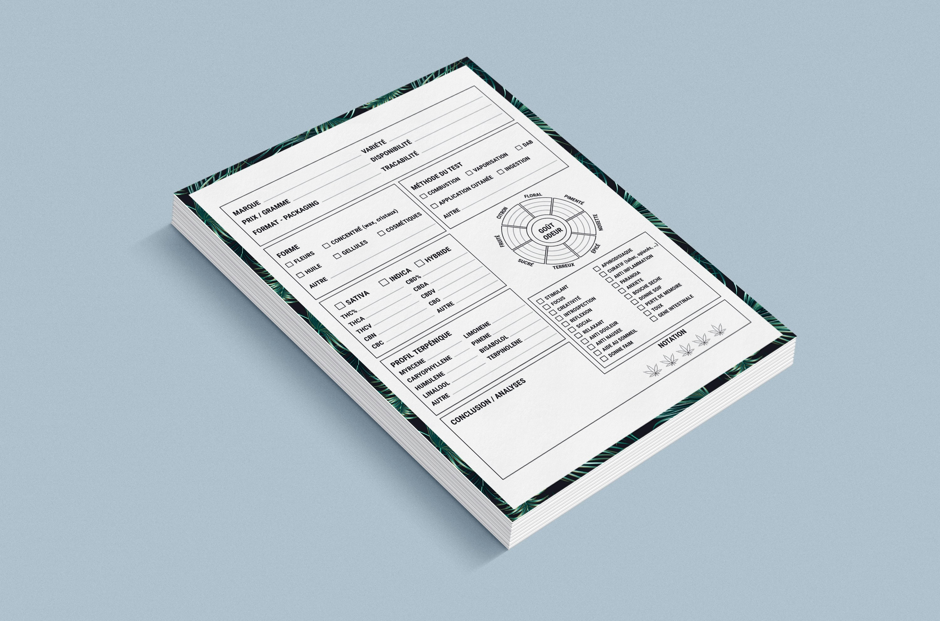 Brand Identity Template